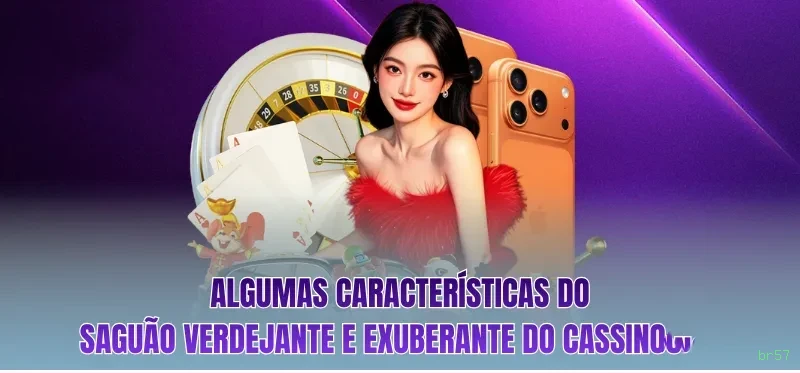 Suporte VIP br57 - atendimento prioritário